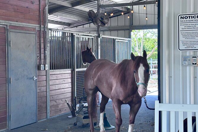 Horseback Riding in Miami - FAQs about Horseback Riding in Miami
