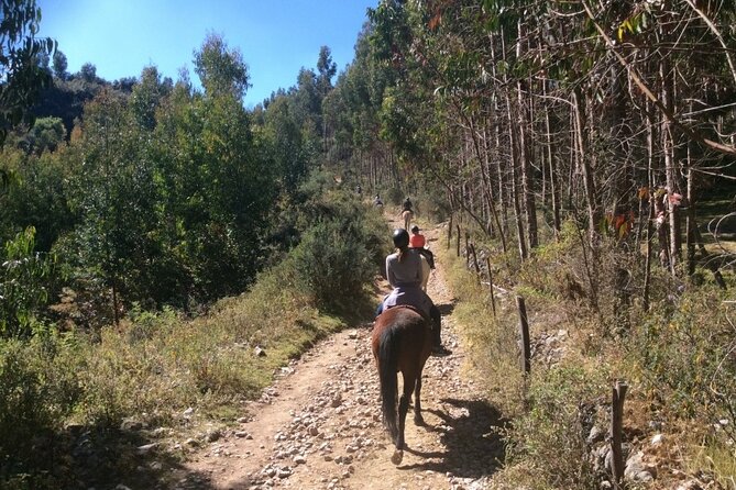 Horseback Riding in Miradores Del Valle Del Cusco, Perú - Customer Reviews and Ratings