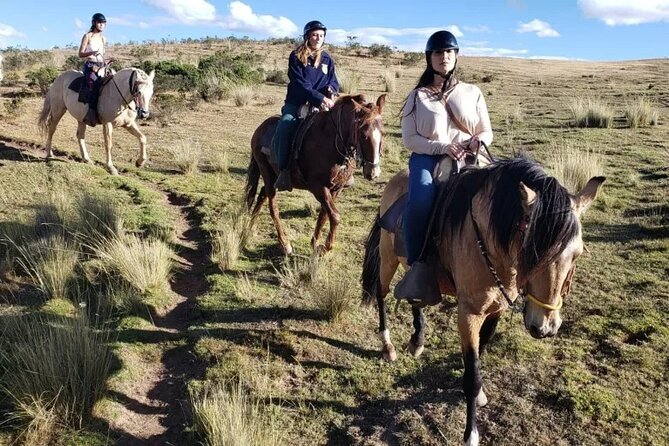 Horseback Riding in Miradores Del Valle Del Cusco, Perú - Directions to Miradores Del Valle Del Cusco, Perú