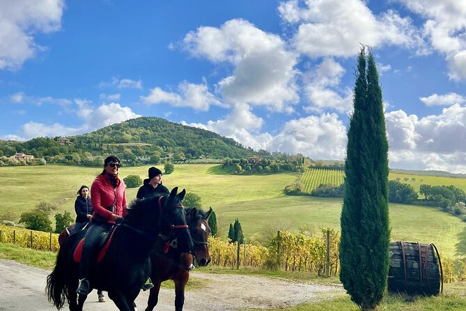 Horseback Riding in Montepulciano Tuscany, Lunch on the Farm - Good To Know