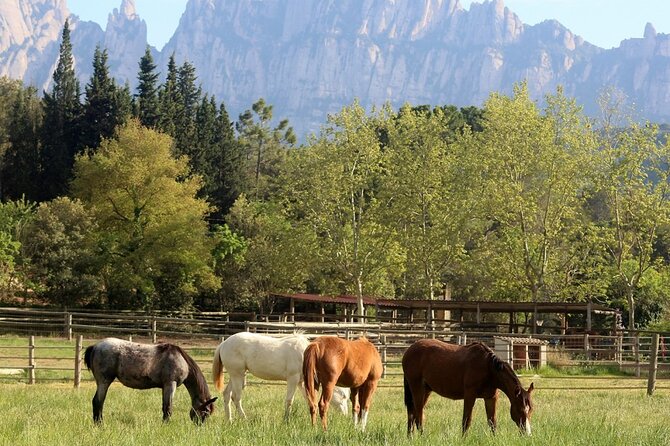Horseback Riding in Montserrat Mountain Natural Park, Barcelona - 1 to 2 Hrs - Pricing and Value