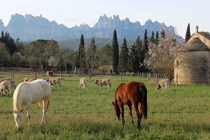 Horseback Riding in Montserrat Mountain Natural Park, Barcelona - 1 to 2 Hrs - Common Questions