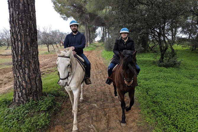 Horseback Riding in Parque Natural Doñana, Sevilla - Tour Highlights
