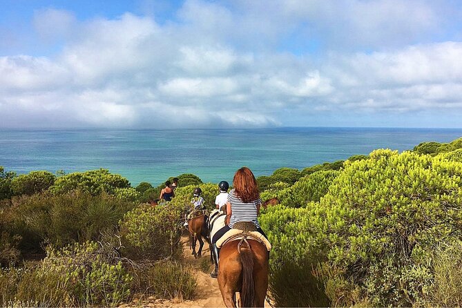 Horseback Riding in Parque Natural Doñana, Sevilla - Riding Through Aznalcázar Forests