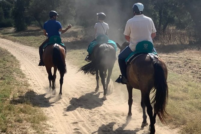 Horseback Riding in Parque Natural Doñana, Sevilla - Viewing Unique Landscape of Seville Province