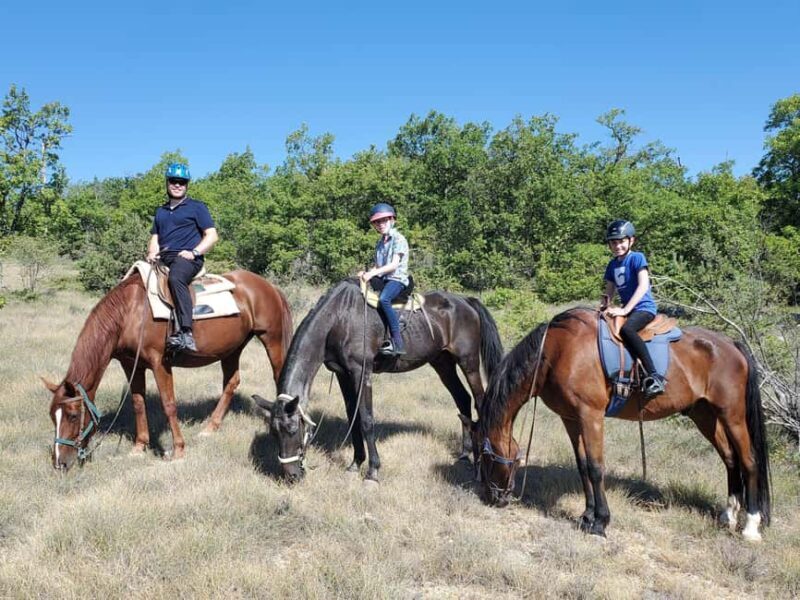 Horseback riding in Provence Luberon - An Authentic Ride Through Provençal Hills
