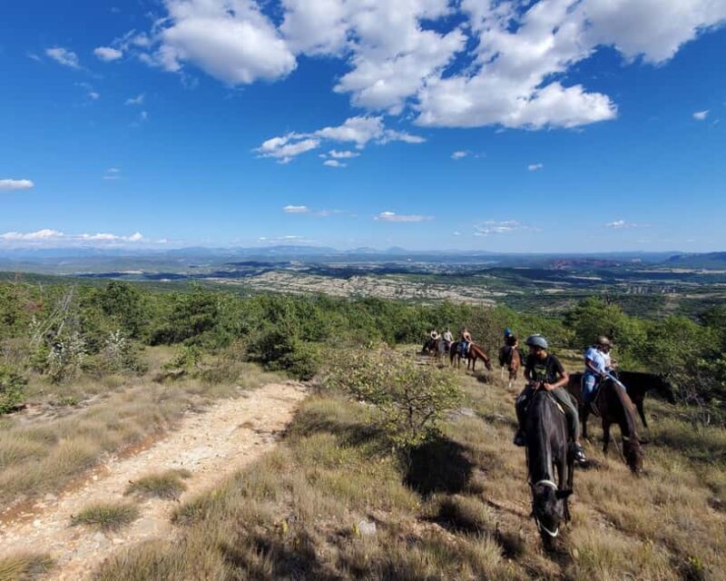 Horseback riding in Provence Luberon - The Horses & Safety