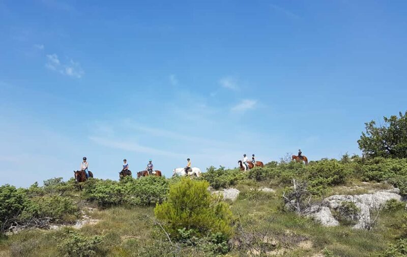 Horseback riding in Provence Luberon - What Reviewers Say