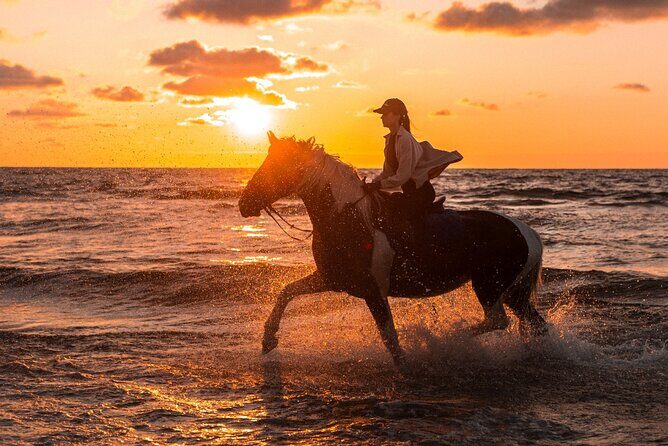 Horseback riding in Punta Cana - Good To Know