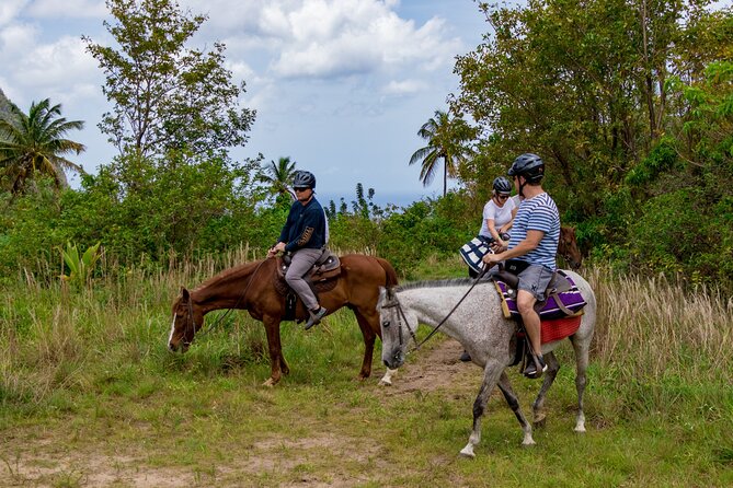 Horseback Riding in St. Lucia - Inclusions