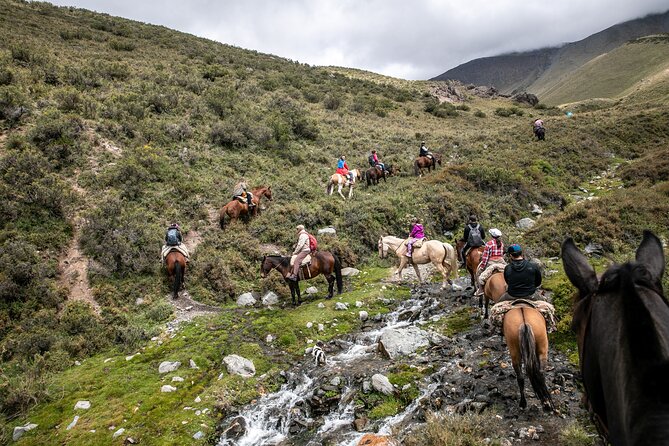Horseback Riding in the Andes, Gaucho Experience & BBQ - Tour Inclusions