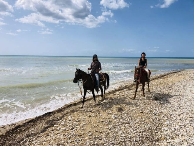 Horseback Riding in the Beaches of Sciacca - Highlights of the Ride