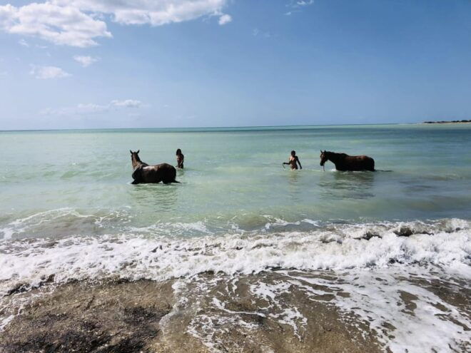 Horseback Riding in the Beaches of Sciacca - Safety and Inclusions