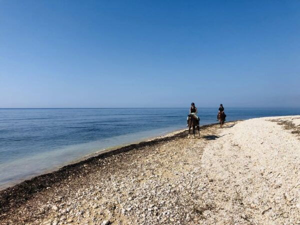 Horseback Riding in the Beaches of Sciacca - Frequently Asked Questions