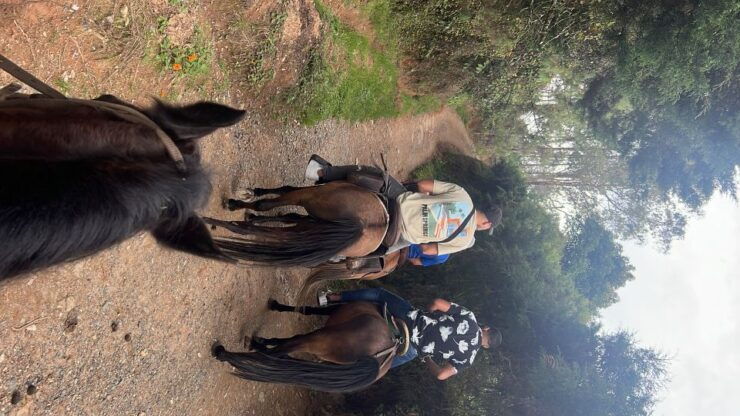 Horseback Riding in the Beautiful Mountains of Medellin - Good To Know
