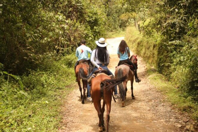 Horseback Riding in the Beautiful Mountains of Medellin - Booking Inclusions