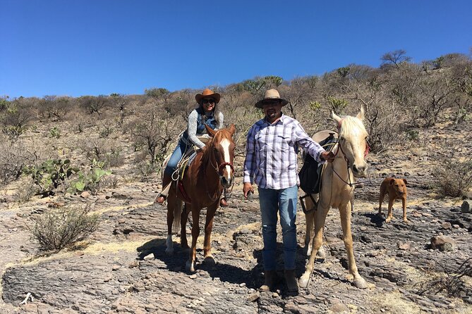 Horseback Riding in the Capulines - Pricing and Booking Details