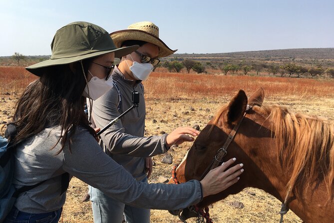 Horseback Riding in the Capulines - Pickup and Meeting Details