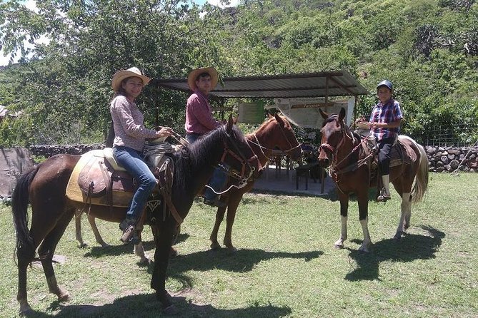 Horseback Riding in the Capulines - Common Questions