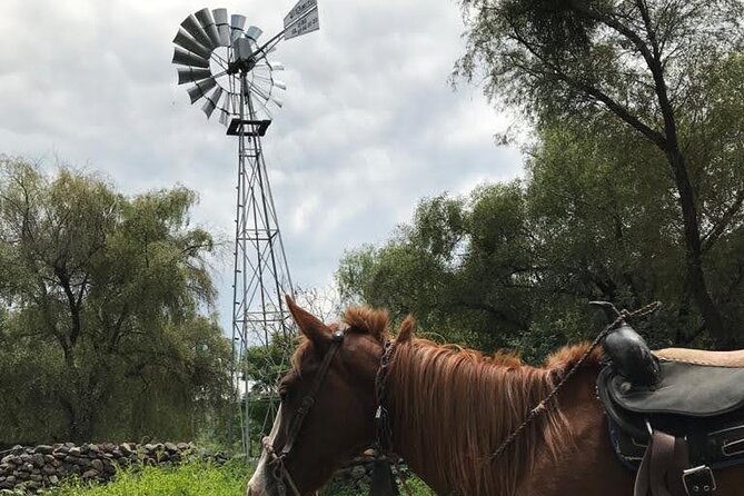Horseback Riding in the Capulines - The Sum Up