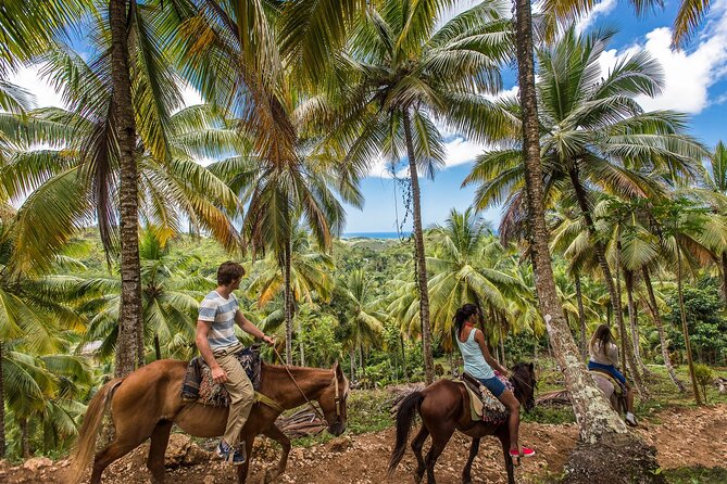 Horseback Riding in the Dominican Jungle - Experience the Thrill of Jungle Riding