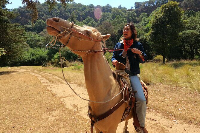 Horseback Riding in the Forest and Breakfast in Cabin - An In-Depth Look at the Experience