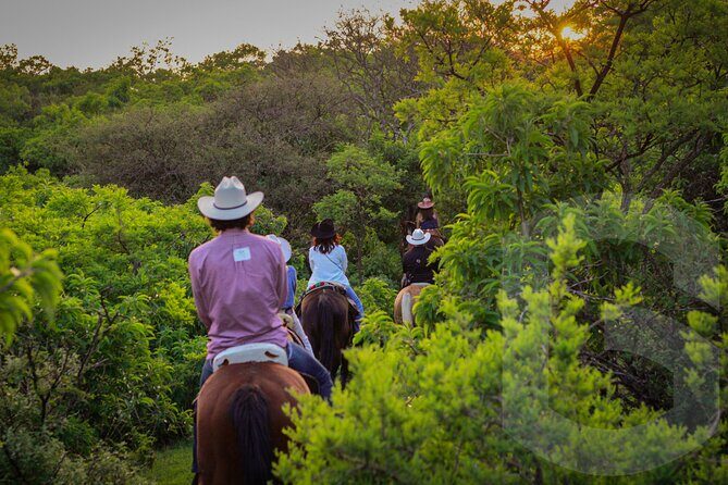 Horseback Riding in the Guanajuato Hills - An Overview of the Experience