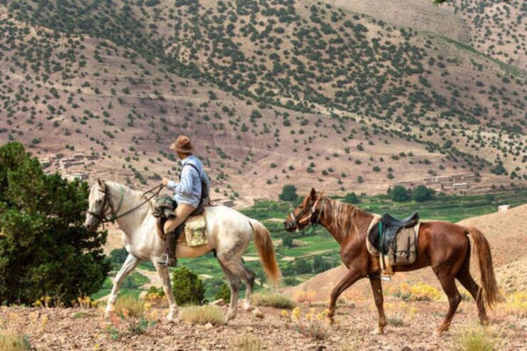 Horseback Riding in the High Atlas Mountains With Overnight - Booking Flexibility Options