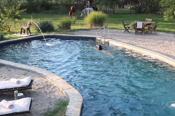 Horseback Riding in the Hungarian Puszta, One Hour Afternoon Ride - Guided Horseback Exploration