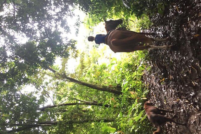 Horseback Riding in the Jungle Near Panama City - Pickup and Logistics