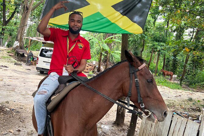 Horseback Riding In The Ocean from Montego Bay Private Transfer - A Detailed Look at the Horseback Riding Experience in Montego Bay