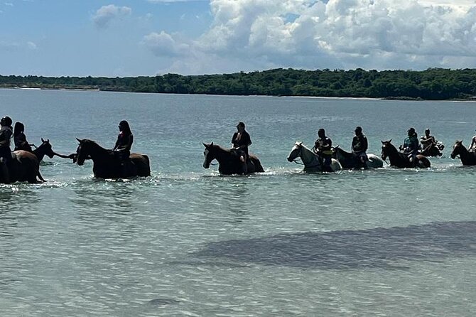Horseback Riding in the Ocean From Ocho Rios & Runaway Bay - Cancellation Policy