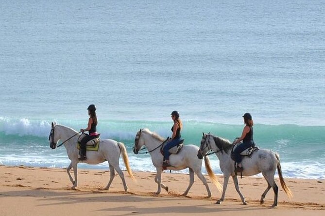 Horseback Riding in the Sunset of Famara Beach, Lanzarote, Spain - Cancellation Policy