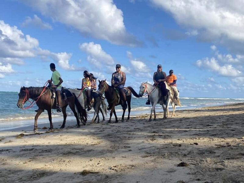 Horseback Riding Macao Beach Experience Paradise onHorseback - Booking and Preparation