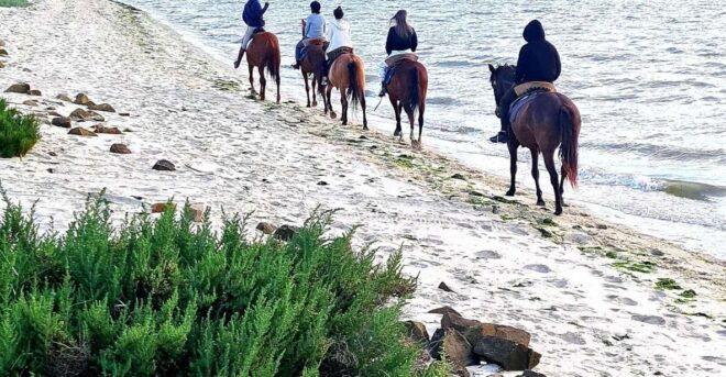 Horseback Riding on Beach + 2 Nights Casas Do Patio - Experience Description