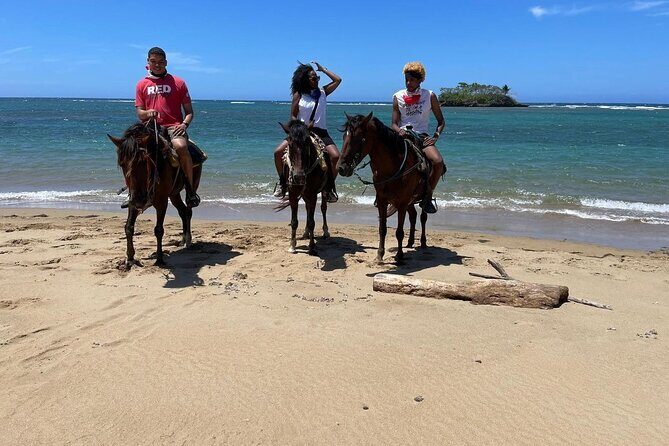 Horseback Riding on the Beach - FAQ