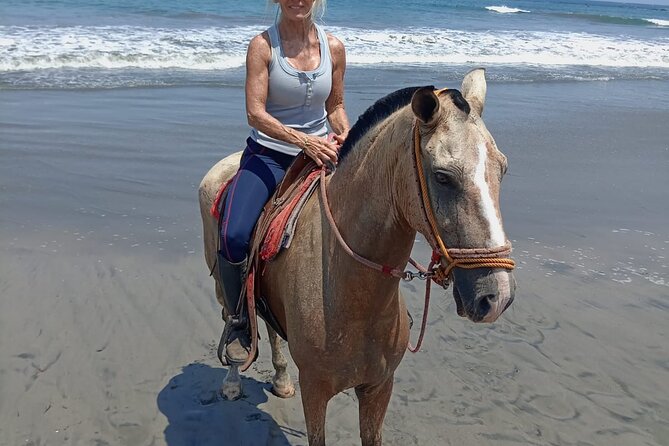 Horseback Riding on the Beach and Trails 2 Hours - Customer Reviews