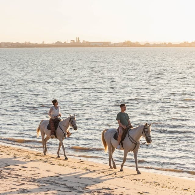 Horseback Riding On The Beach At Sunset - Good To Know