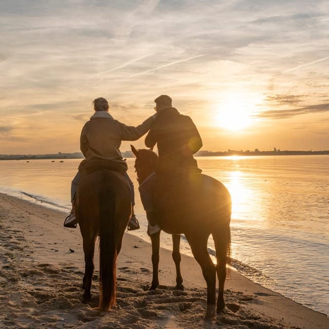 Horseback Riding On The Beach At Sunset - The Practical Aspects