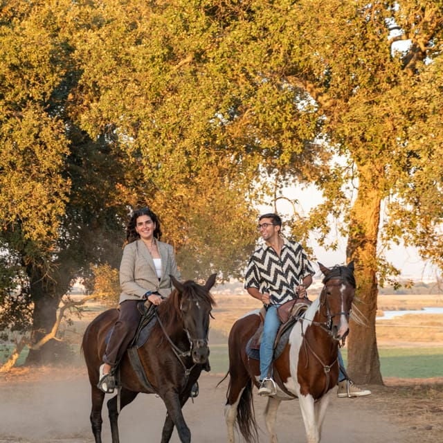 Horseback Riding On The Beach At Sunset - Authentic Experiences and Authentic Reviews