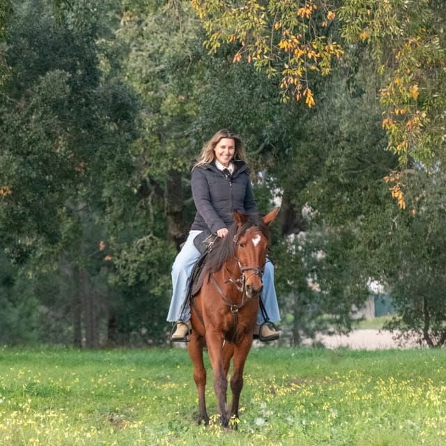 Horseback Riding On The Beach At Sunset - The Sum Up: Who Should Book This Tour?