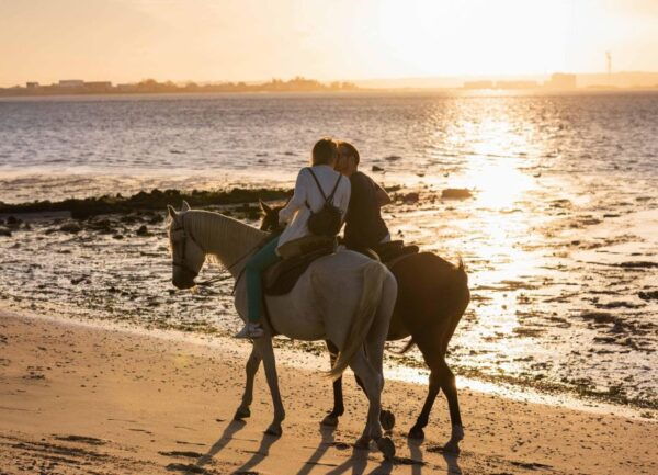 Horseback Riding on the Beach at Sunset - The Sum Up