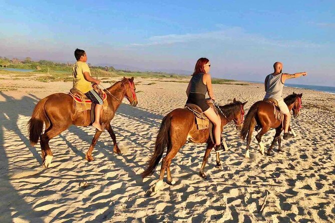 Horseback Riding on the Beach - Horseback Riding Punta Cana - Activity Overview