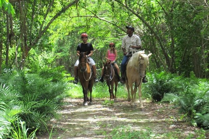 Horseback Riding on the Beach in Punta Cana (Two Hours) - Experience Overview