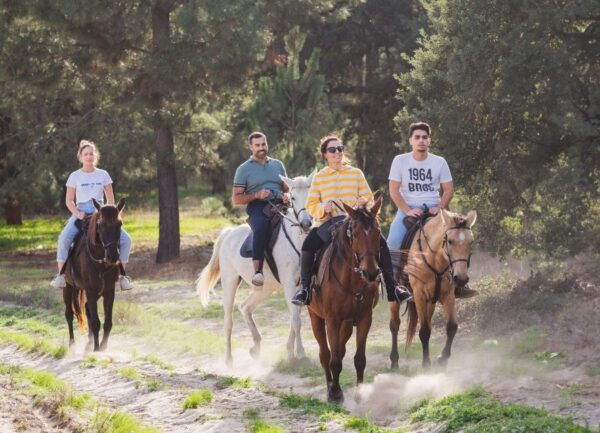 Horseback Riding on the Beach +Tapas + Photo Report - Directions