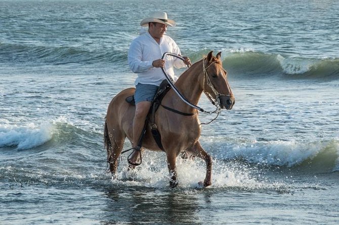 Horseback Riding on the Beach With Paso Colombiano Show,Cartagena - Inclusions and Amenities