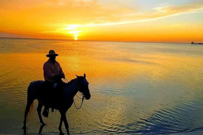 Horseback Riding on the Beaches of Holbox - Good To Know