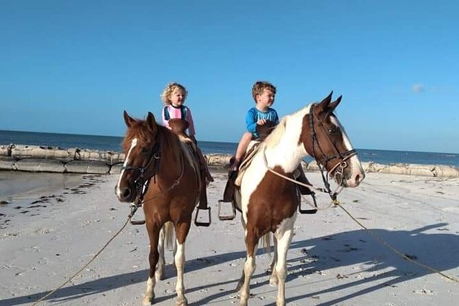 Horseback Riding on the Beaches of Holbox - Review Excerpts