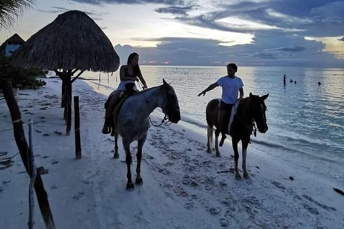 Horseback Riding on the Beaches of Holbox - Questions and Information