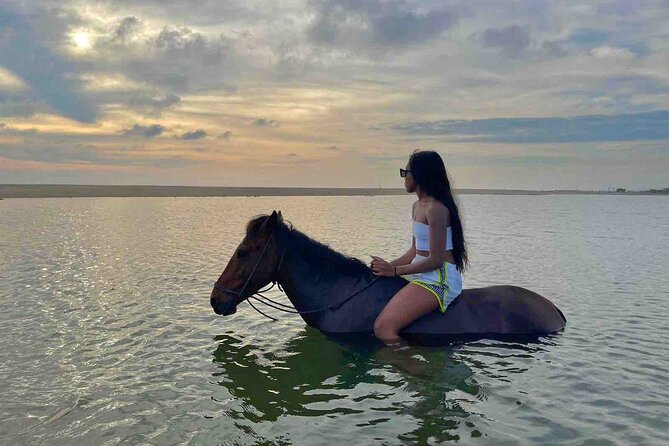 Horseback Riding on the Beaches of Holbox - Common Questions